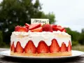 Délicieuse charlotte aux fraises sans gélatine, garnie de crème fouettée et de fruits frais. Un régal pour les yeux et les papilles !