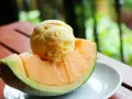 Une boule de glace au melon, fondante, repose sur une tranche de melon frais, sur une assiette blanche.