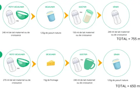 Deux journées types pour bébé : petit-déjeuner, déjeuner, goûter et dîner. On peut y voir du lait maternel ou de croissance, du yaourt, du fromage. Le petit lait est une option pour le petit-déjeuner.