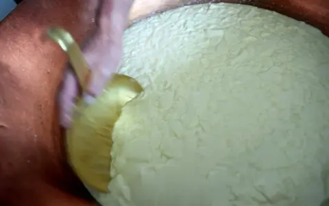 Mélange du caillé dans une cuve en cuivre, étape clé après la traite des vaches pour la fabrication du fromage.