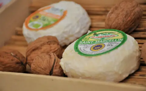 Fromages Saint-Marcellin et noix, parfaits pour une recette avec purée.
