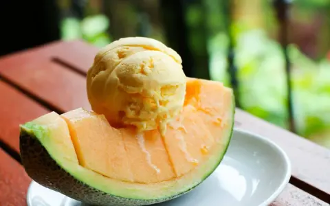 Une boule de glace au melon, fondante, repose sur une tranche de melon frais, sur une assiette blanche.