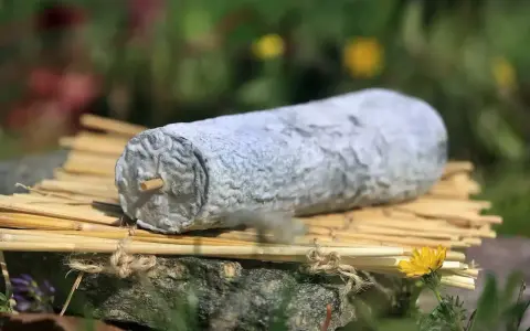 Un fromage de Sainte-Maure de Touraine, reconnaissable à sa forme allongée et sa croûte cendrée, repose sur des tiges de seigle.