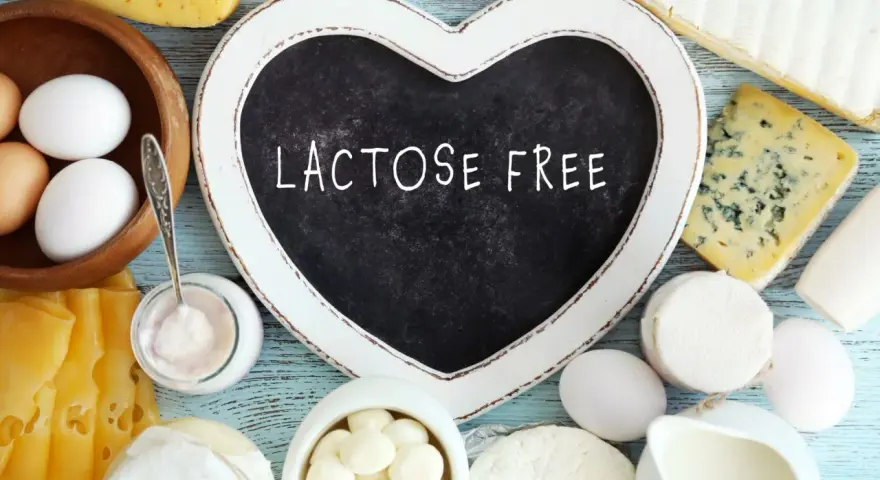Assortiment de fromages, œufs et yaourt. Un cœur noir indique "LACTOSE FREE", parfait pour un fromage blanc sans lactose.