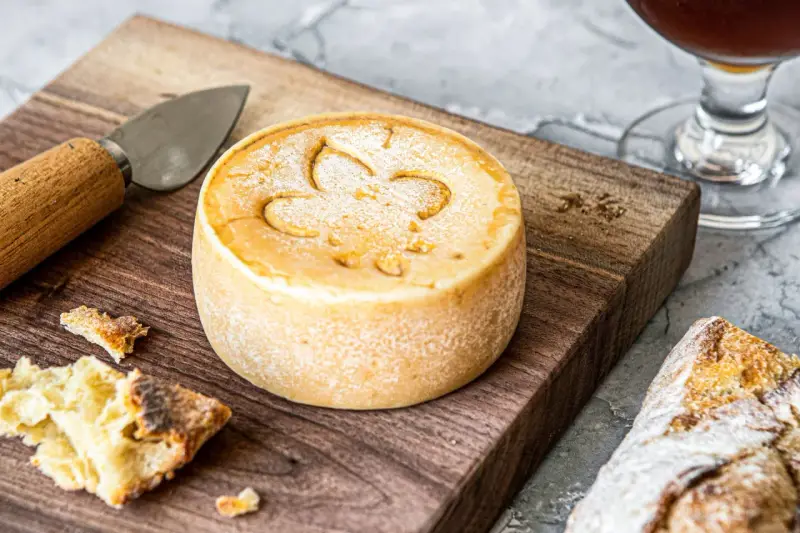 Un fromage rond, marqué d'une fleur de lys, prêt à être dégusté. Une invitation à découvrir comment faire du fromage.